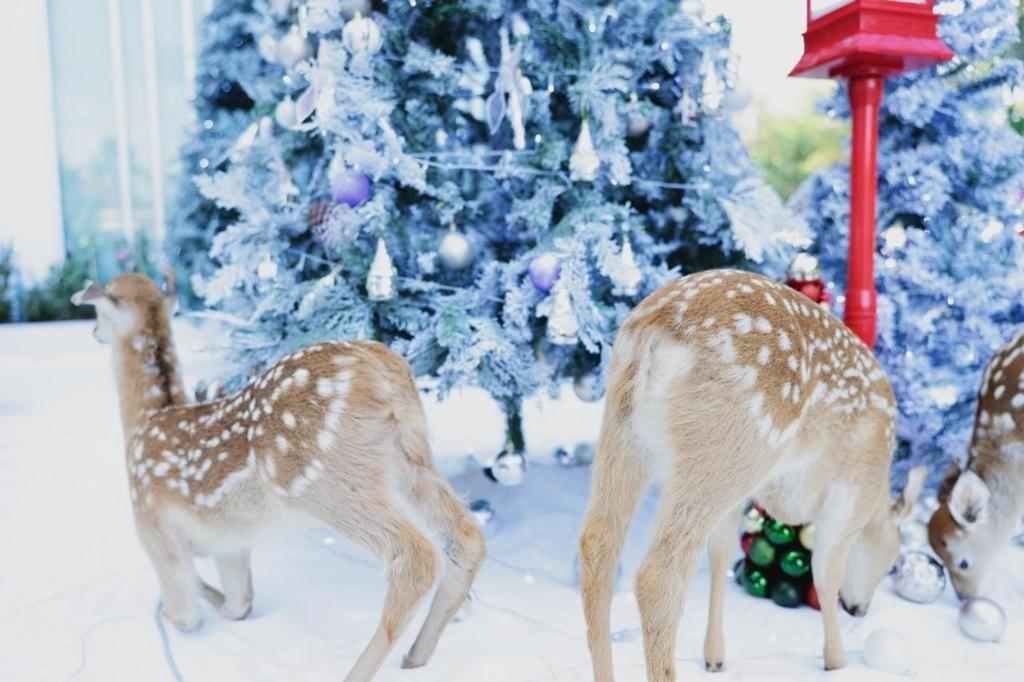 グレーシャー ホテル コン カエン コーンケーン エクステリア 写真